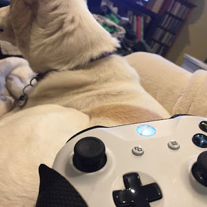 Meet your Posher, Kurt